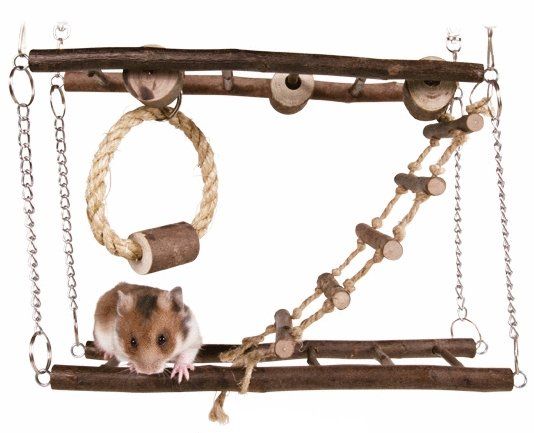 Play para Hamster